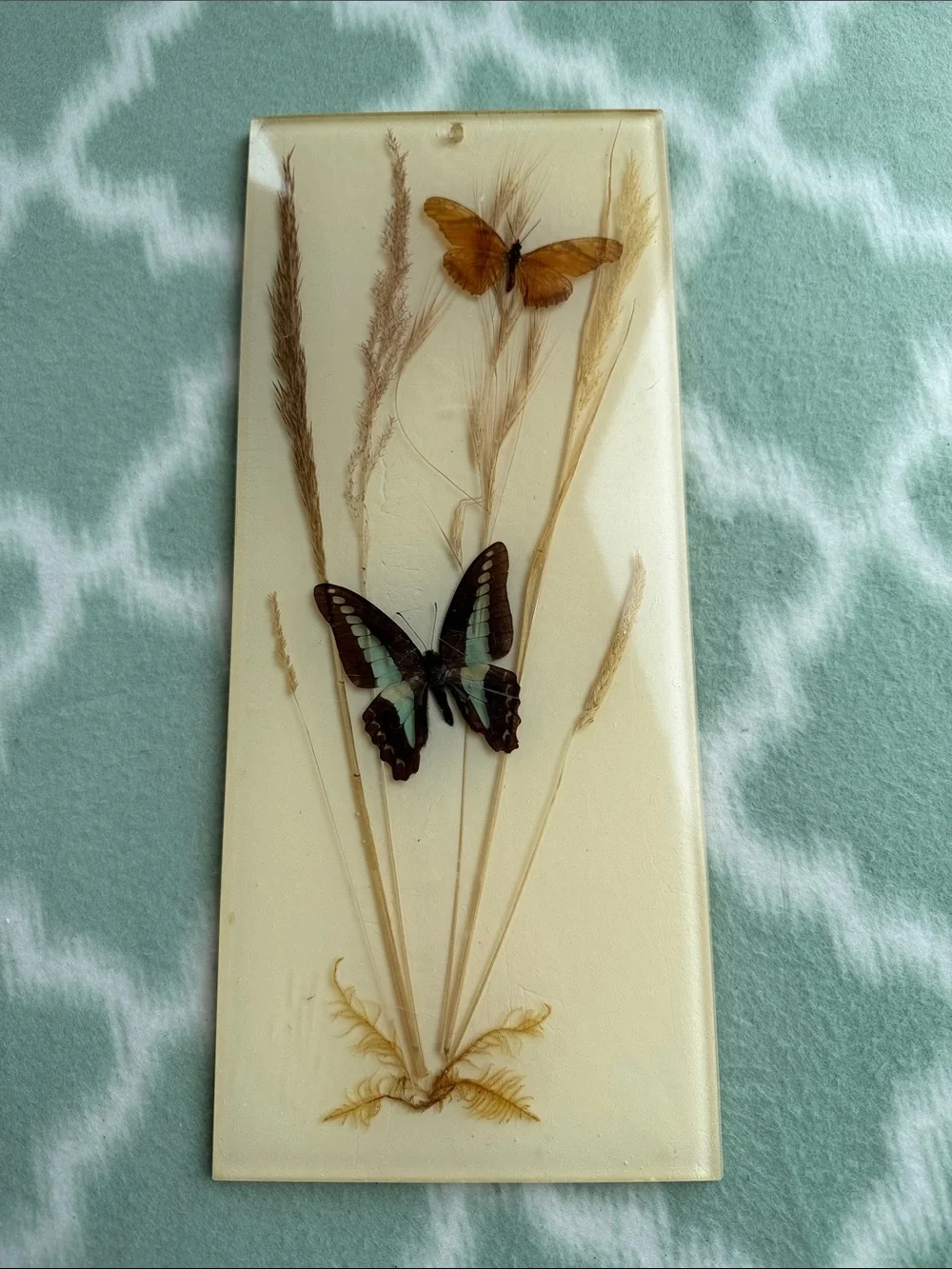 1970s Vintage Papilio and Juno Butterfly Resin Wall Art in Cream, Brown & Teal